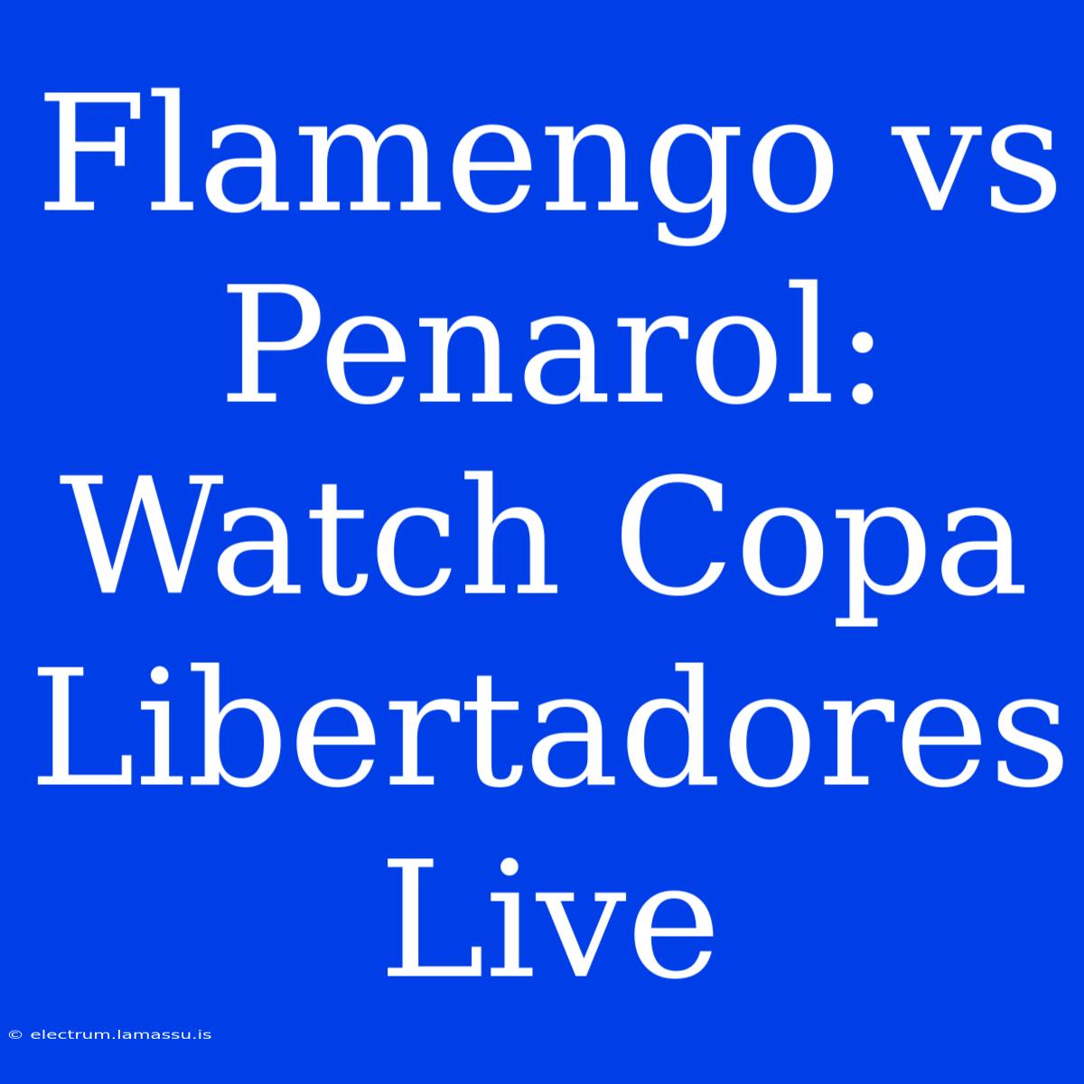 Flamengo Vs Penarol: Watch Copa Libertadores Live