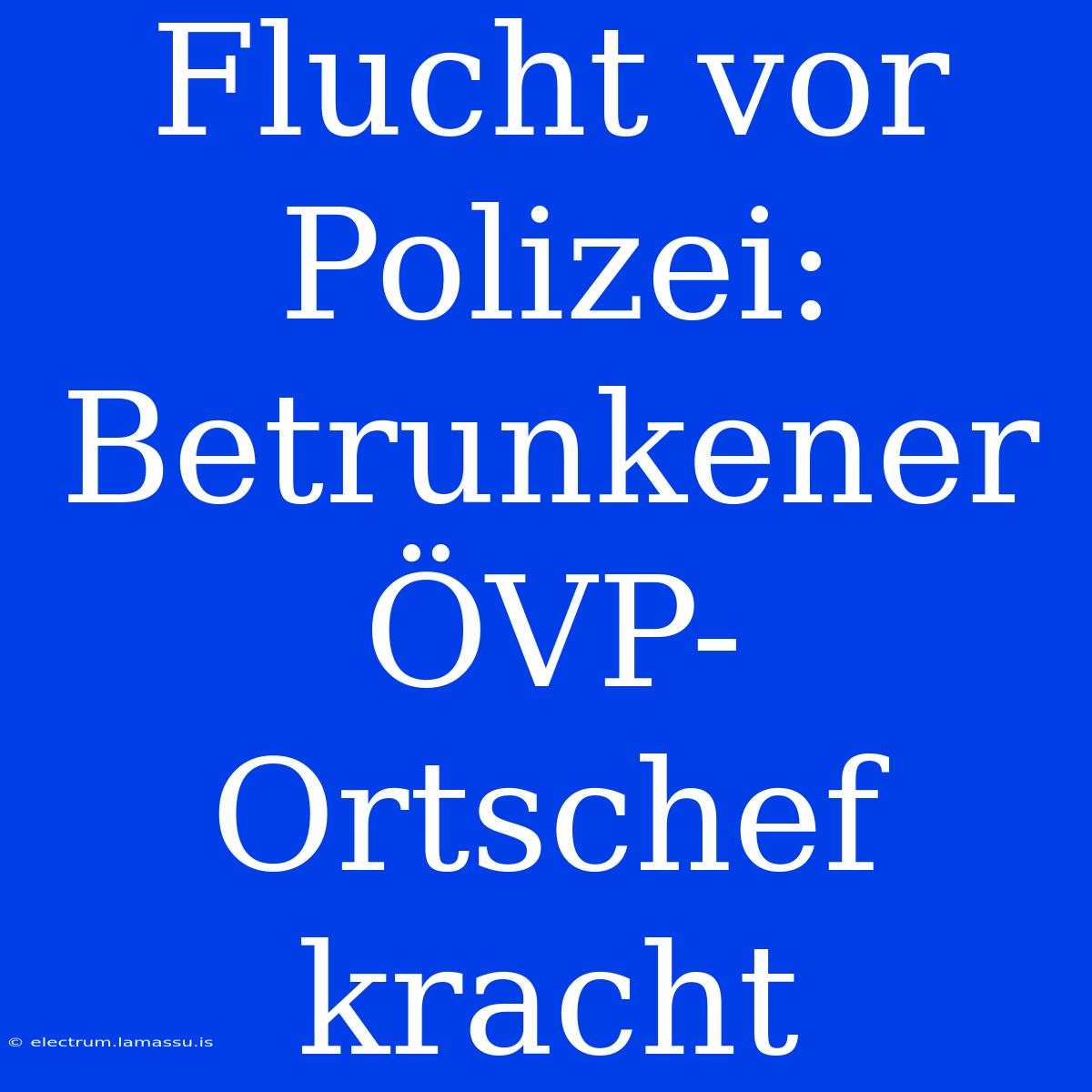 Flucht Vor Polizei: Betrunkener ÖVP-Ortschef Kracht