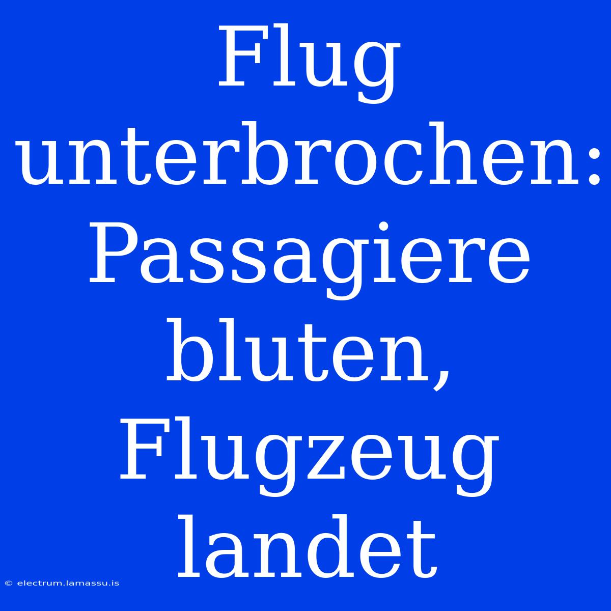 Flug Unterbrochen: Passagiere Bluten, Flugzeug Landet