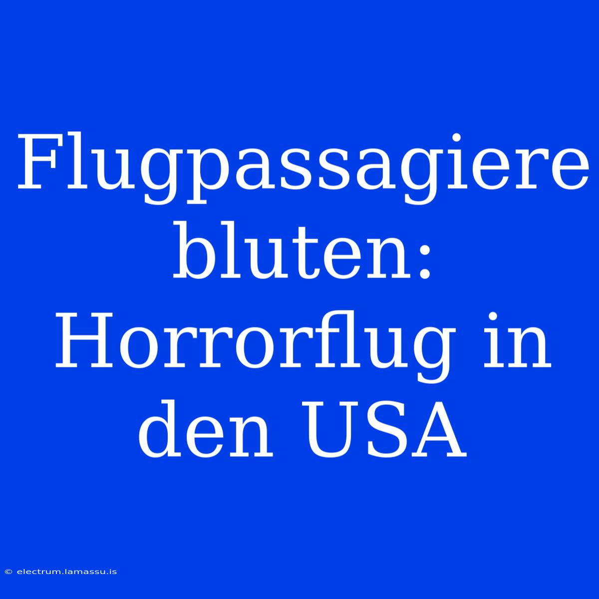 Flugpassagiere Bluten: Horrorflug In Den USA