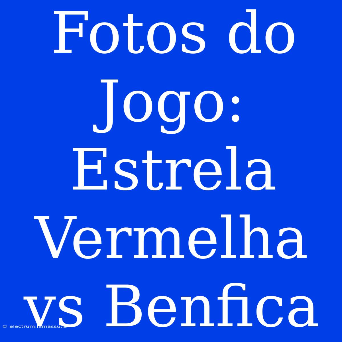 Fotos Do Jogo: Estrela Vermelha Vs Benfica