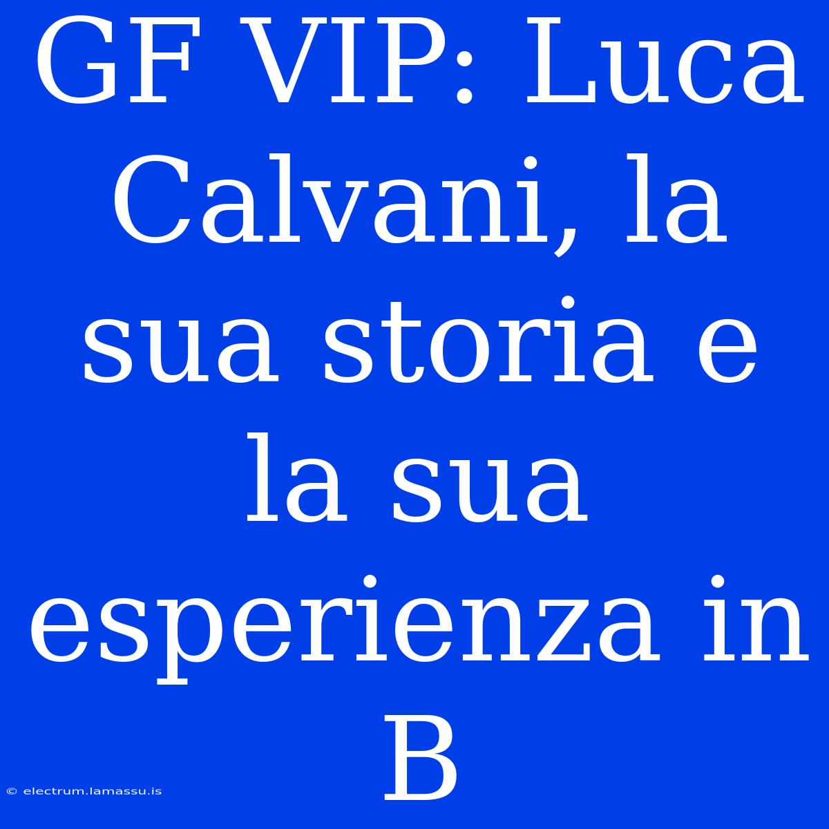 GF VIP: Luca Calvani, La Sua Storia E La Sua Esperienza In B