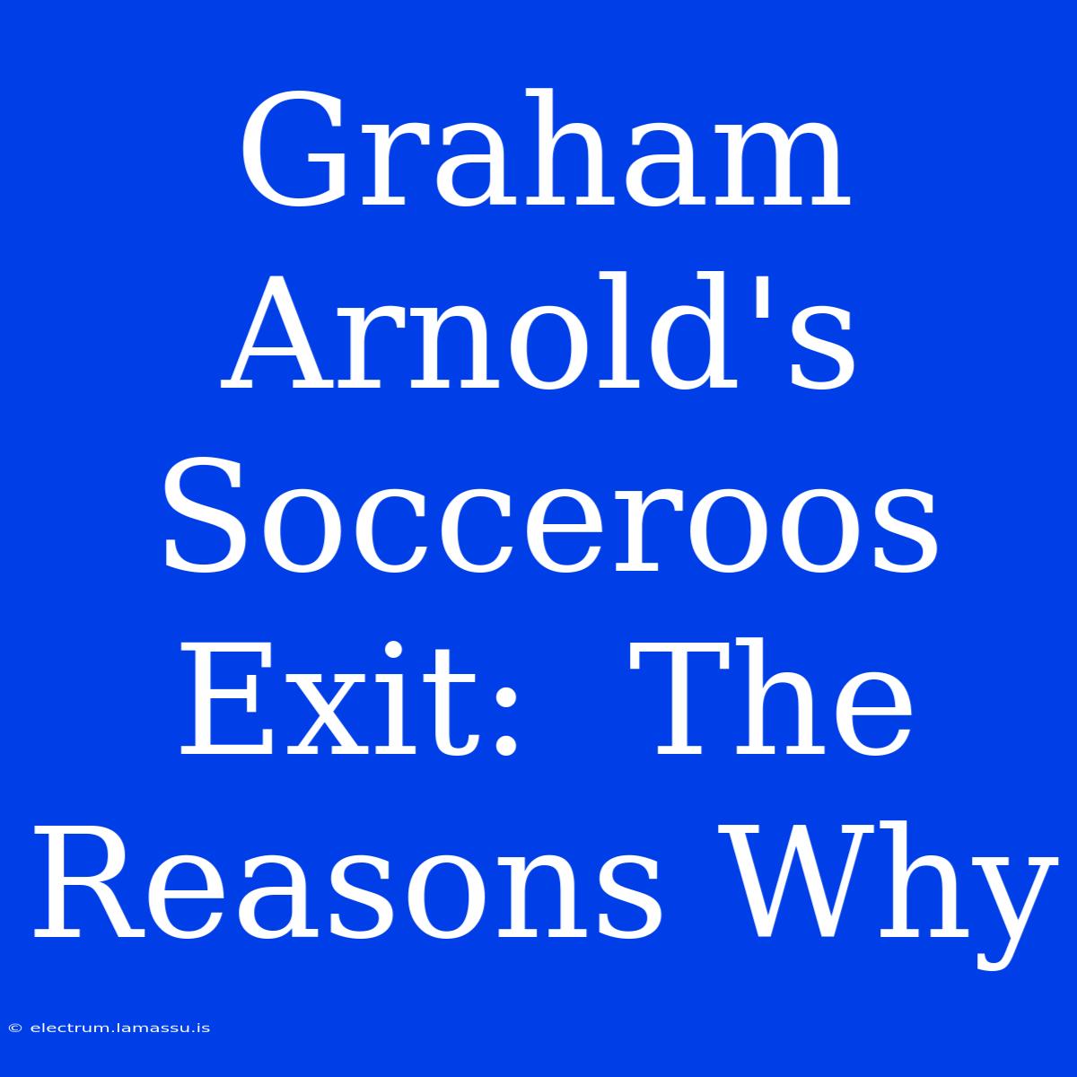 Graham Arnold's  Socceroos Exit:  The Reasons Why