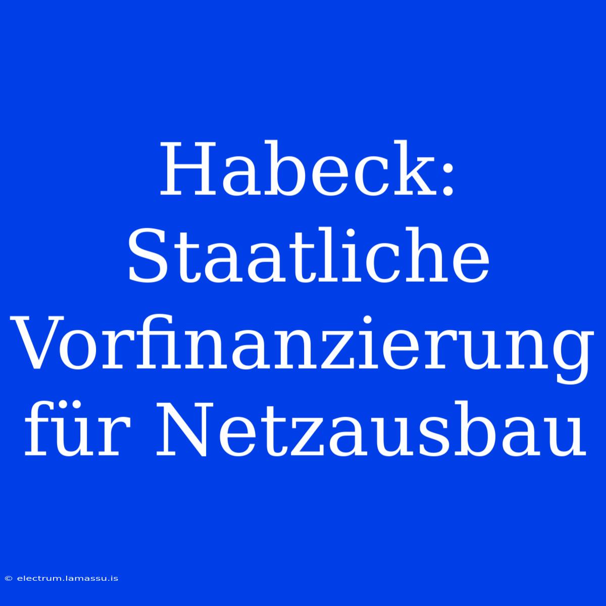 Habeck: Staatliche Vorfinanzierung Für Netzausbau