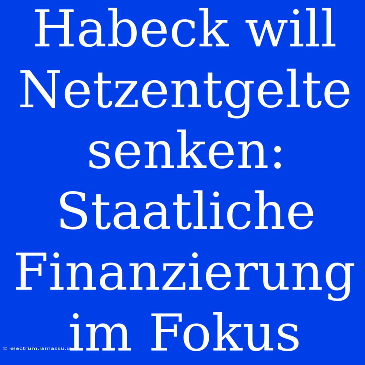 Habeck Will Netzentgelte Senken: Staatliche Finanzierung Im Fokus