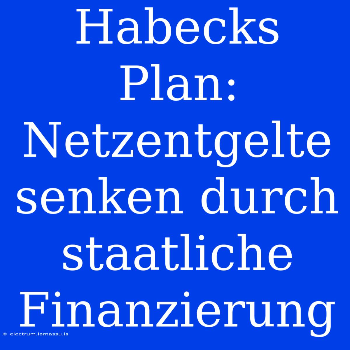 Habecks Plan: Netzentgelte Senken Durch Staatliche Finanzierung