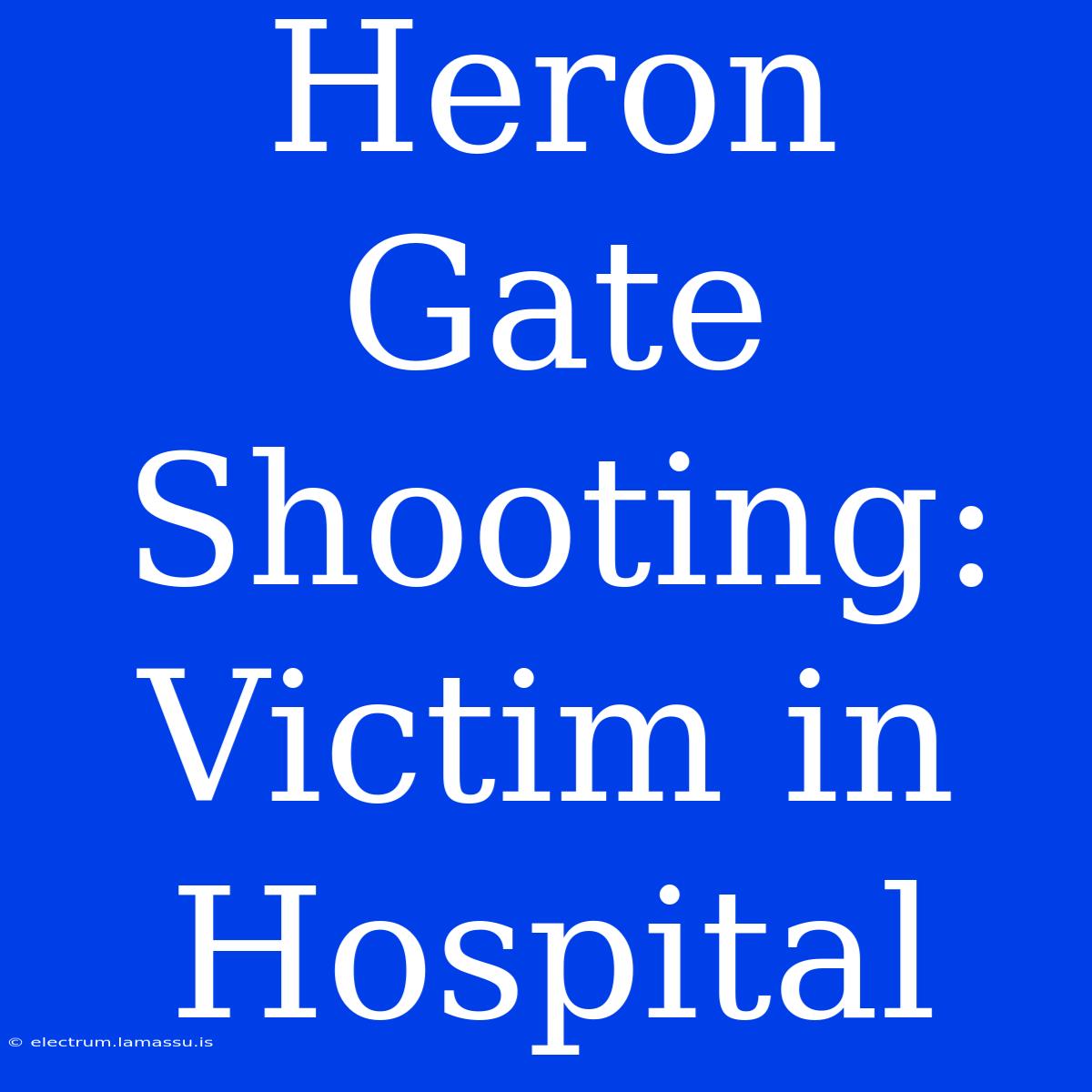 Heron Gate Shooting: Victim In Hospital