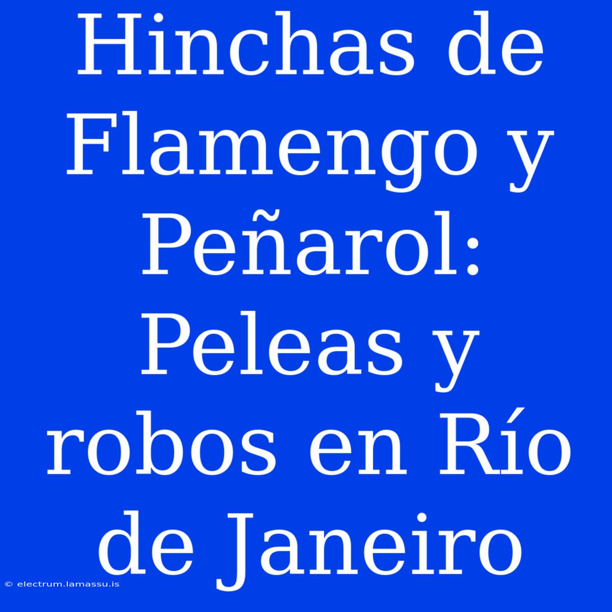 Hinchas De Flamengo Y Peñarol: Peleas Y Robos En Río De Janeiro