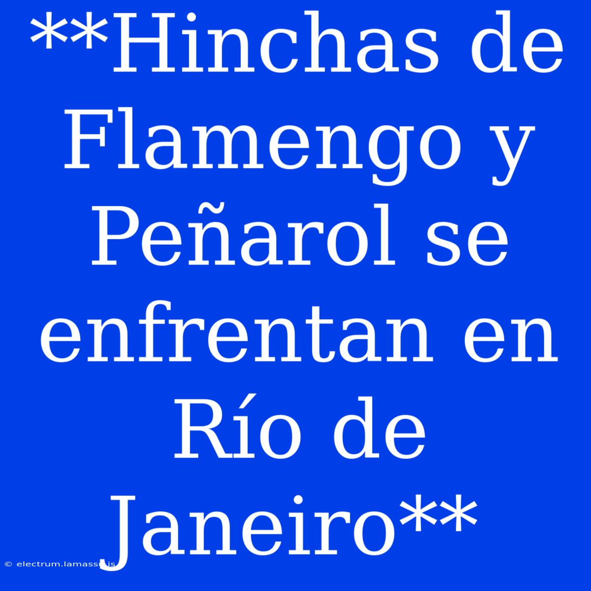 **Hinchas De Flamengo Y Peñarol Se Enfrentan En Río De Janeiro**