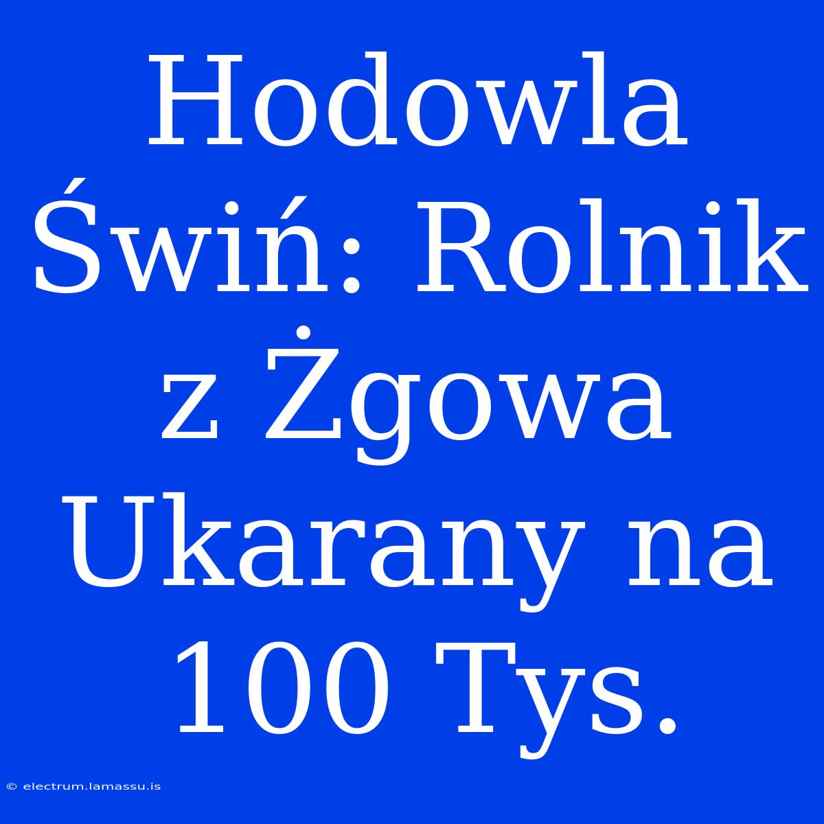 Hodowla Świń: Rolnik Z Żgowa Ukarany Na 100 Tys.