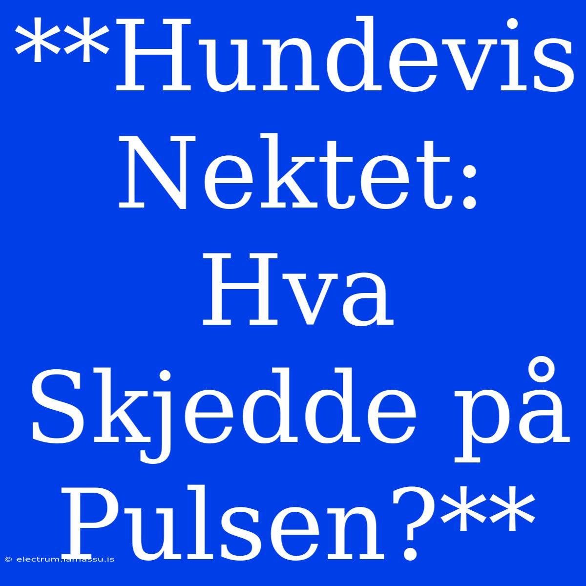 **Hundevis Nektet: Hva Skjedde På Pulsen?**