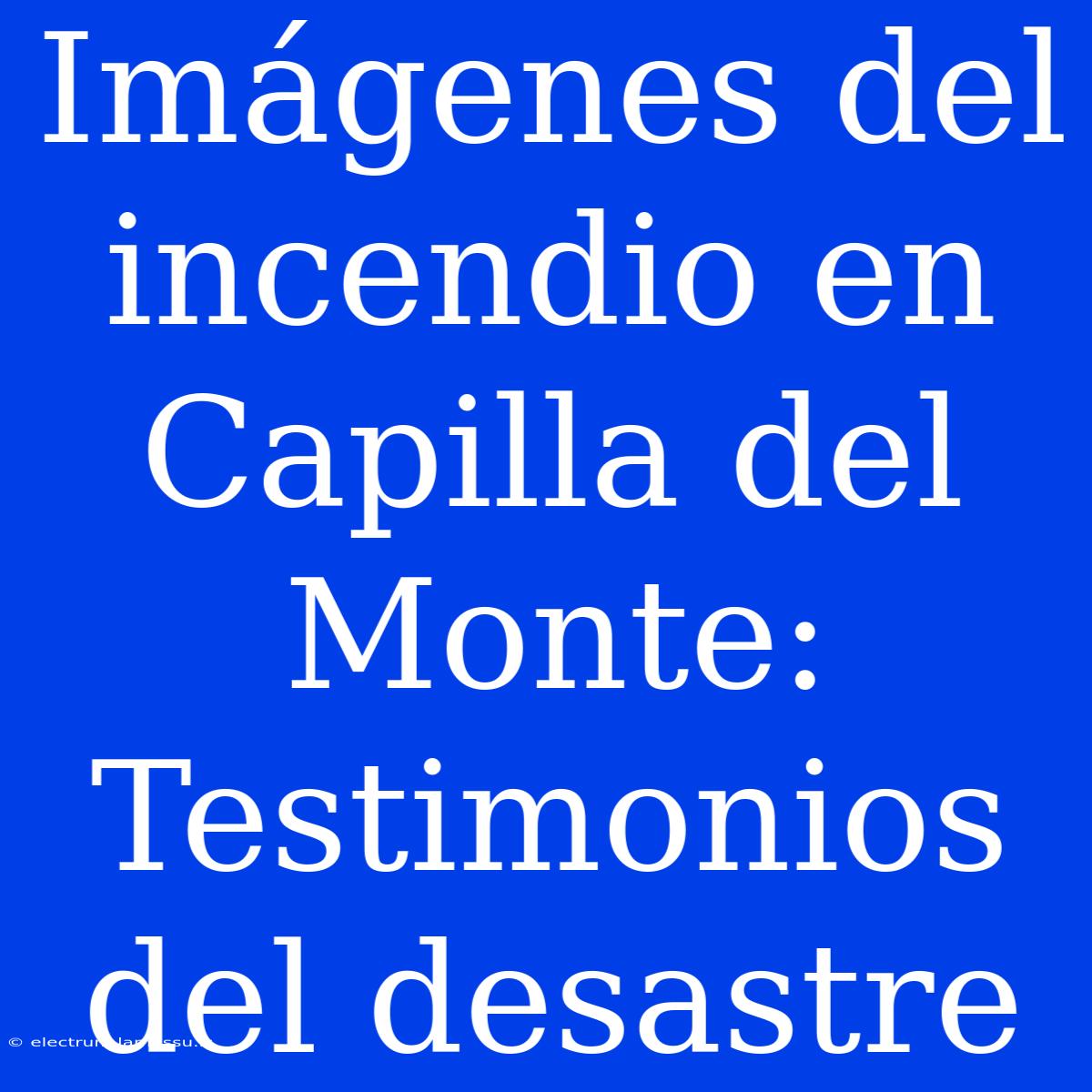 Imágenes Del Incendio En Capilla Del Monte: Testimonios Del Desastre 