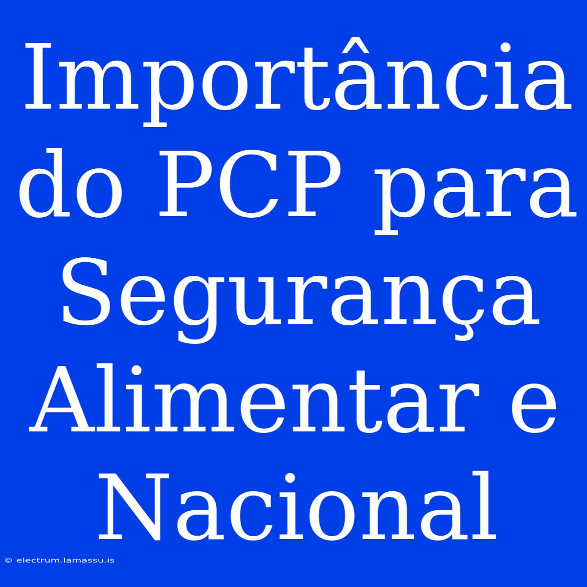 Importância Do PCP Para Segurança Alimentar E Nacional