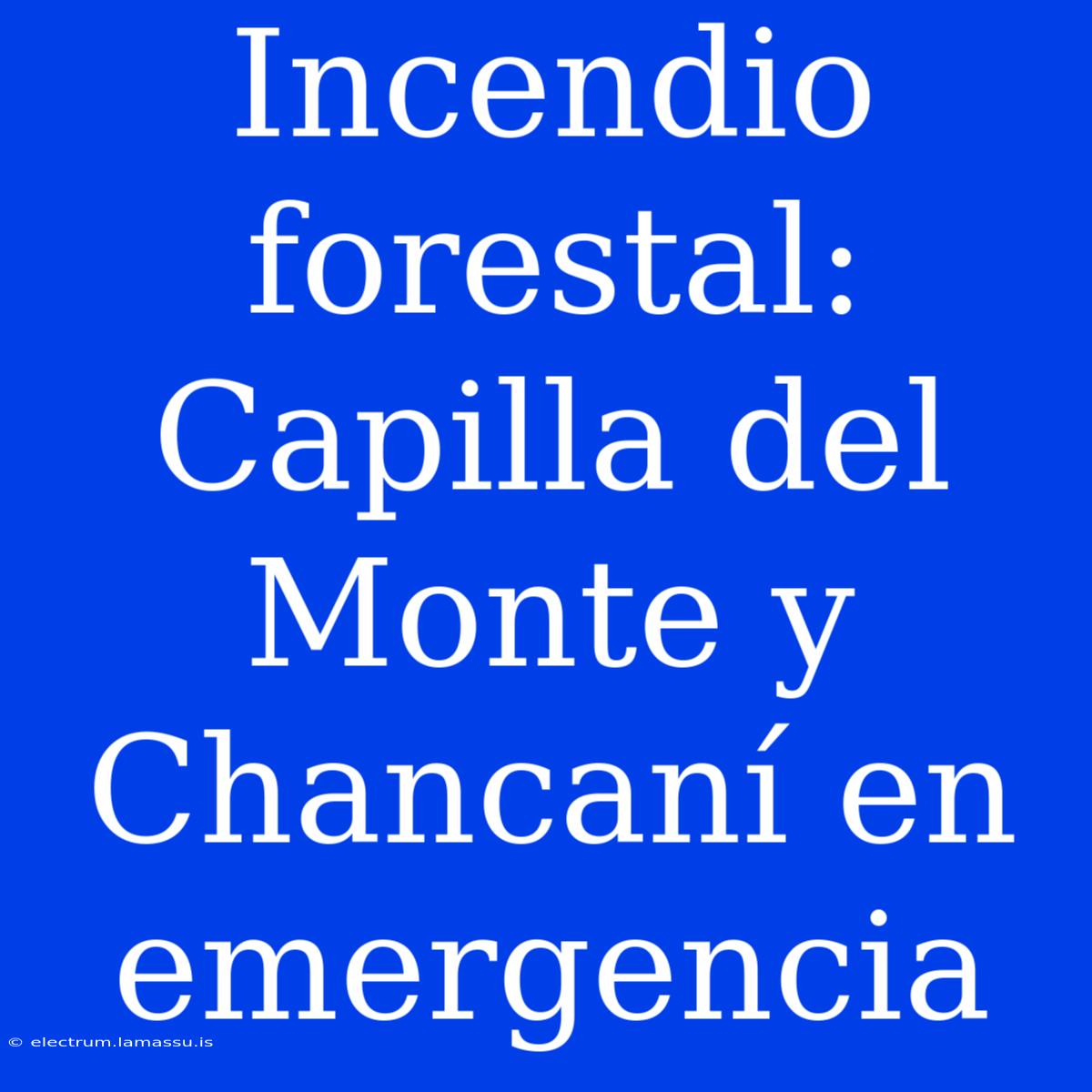 Incendio Forestal: Capilla Del Monte Y Chancaní En Emergencia 