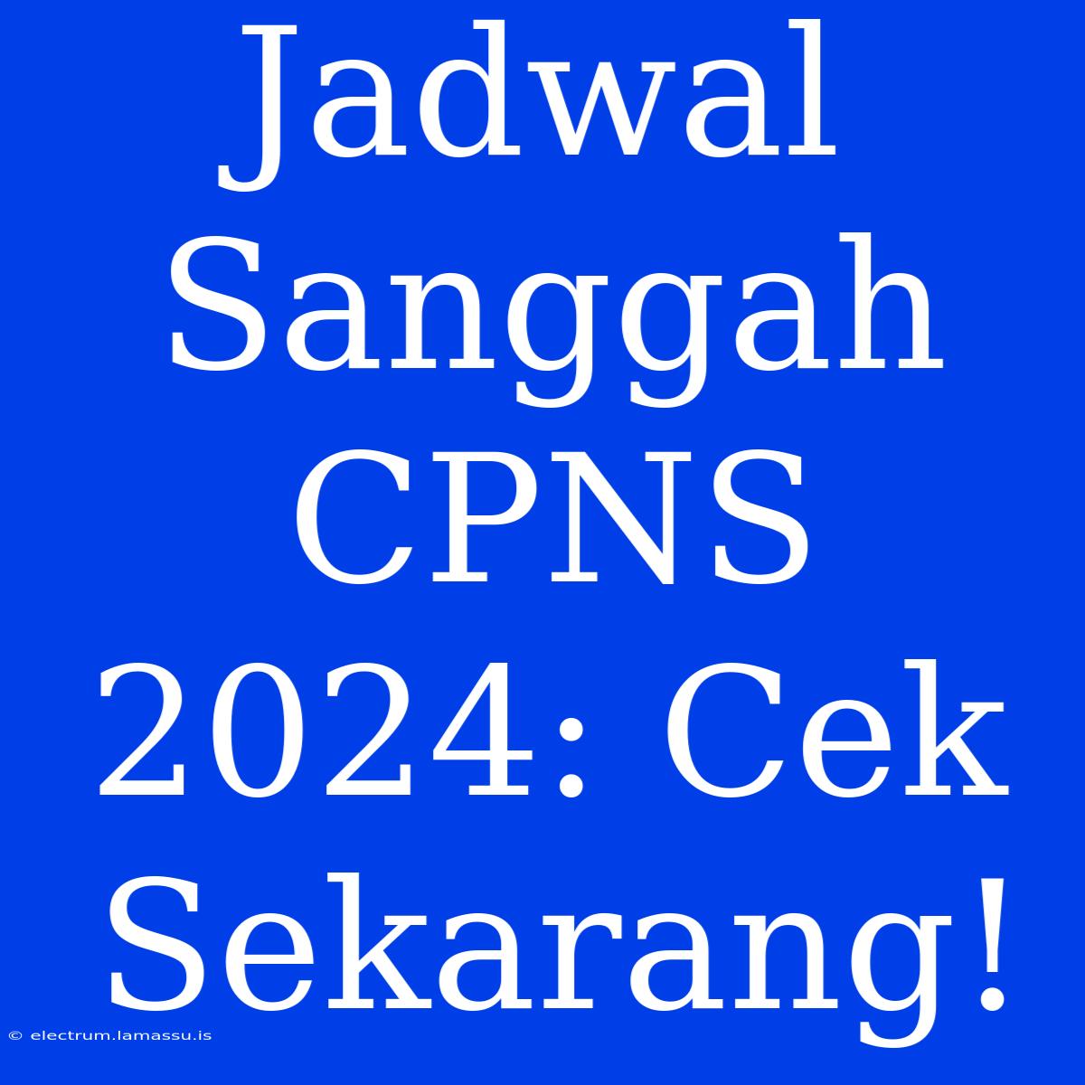 Jadwal Sanggah CPNS 2024: Cek Sekarang!