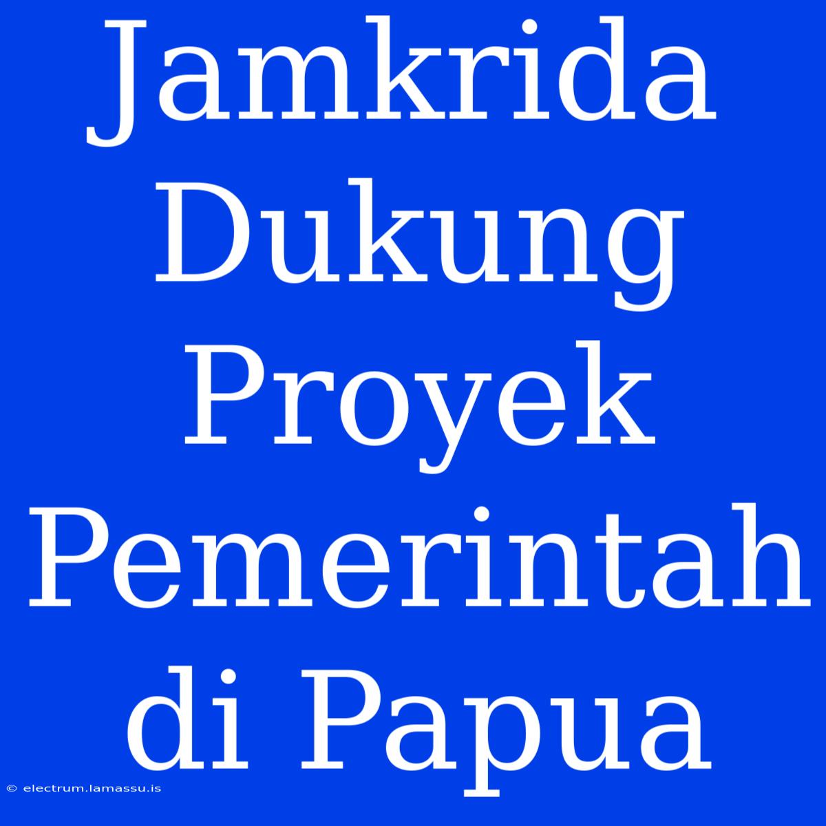 Jamkrida Dukung Proyek Pemerintah Di Papua