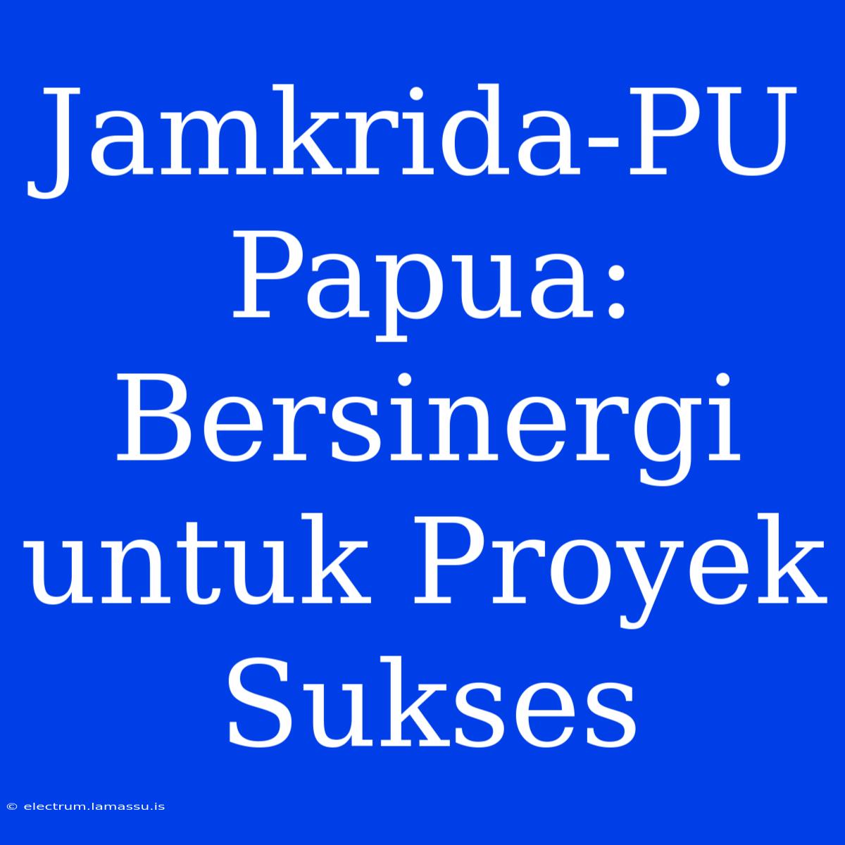 Jamkrida-PU Papua:  Bersinergi Untuk Proyek Sukses 