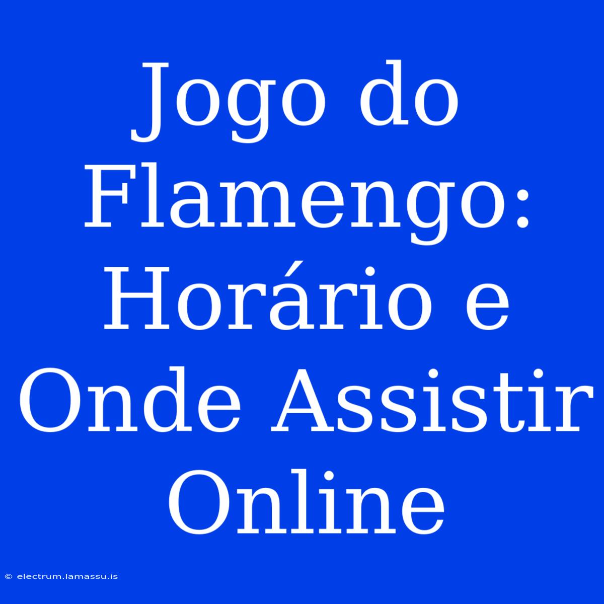 Jogo Do Flamengo: Horário E Onde Assistir Online