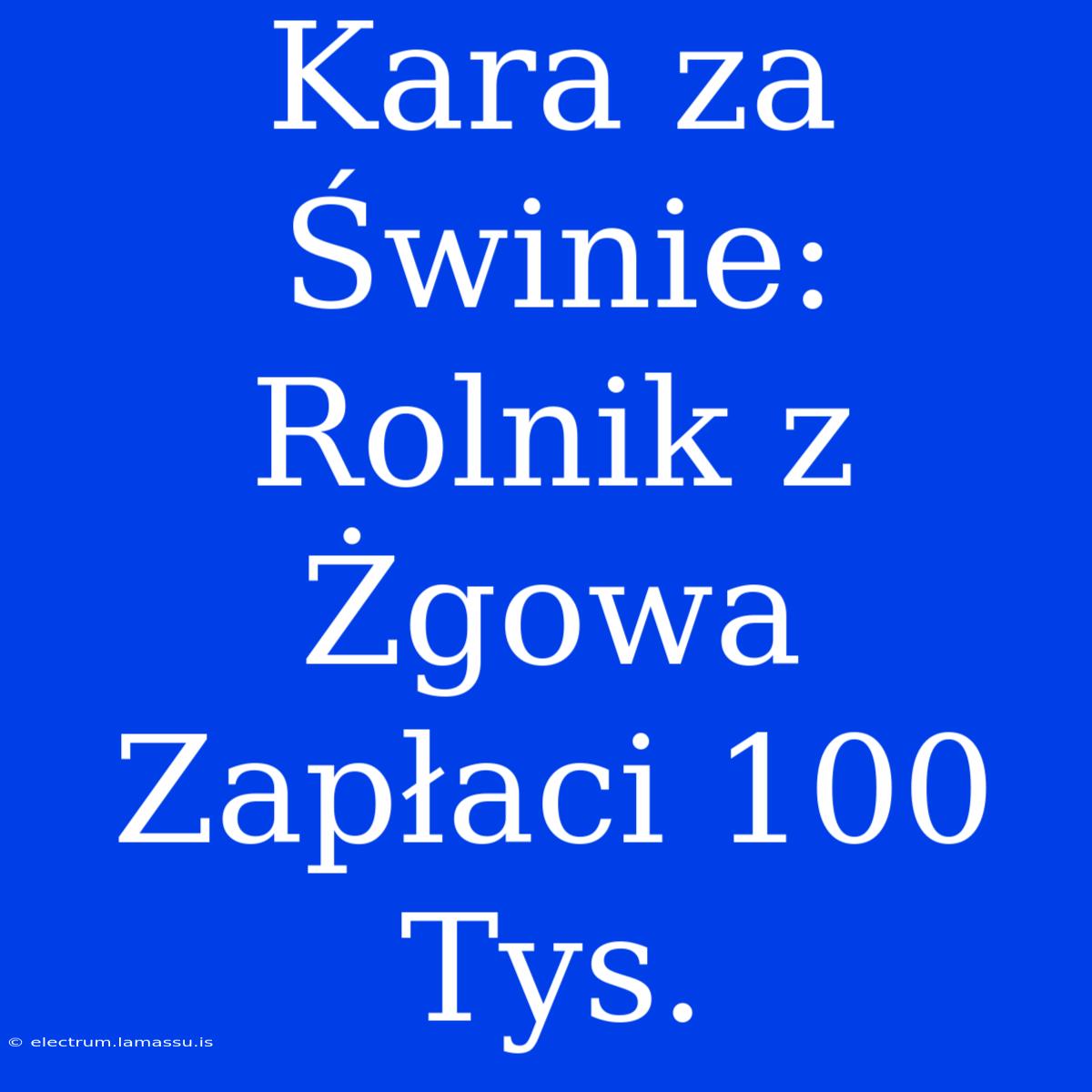 Kara Za Świnie: Rolnik Z Żgowa Zapłaci 100 Tys.