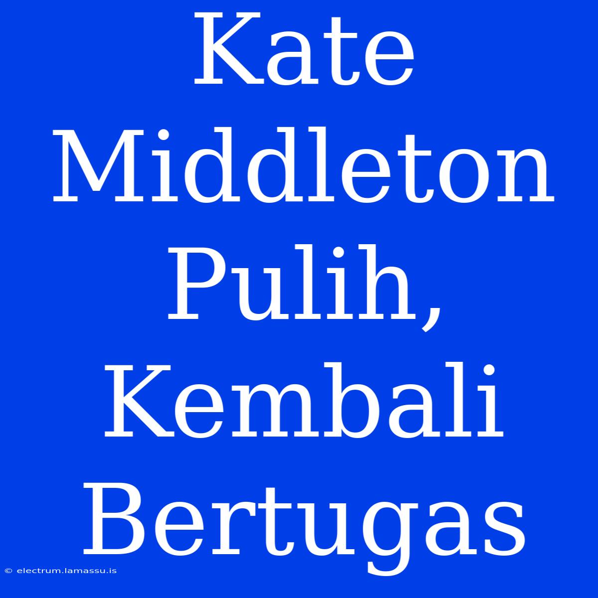 Kate Middleton Pulih, Kembali Bertugas