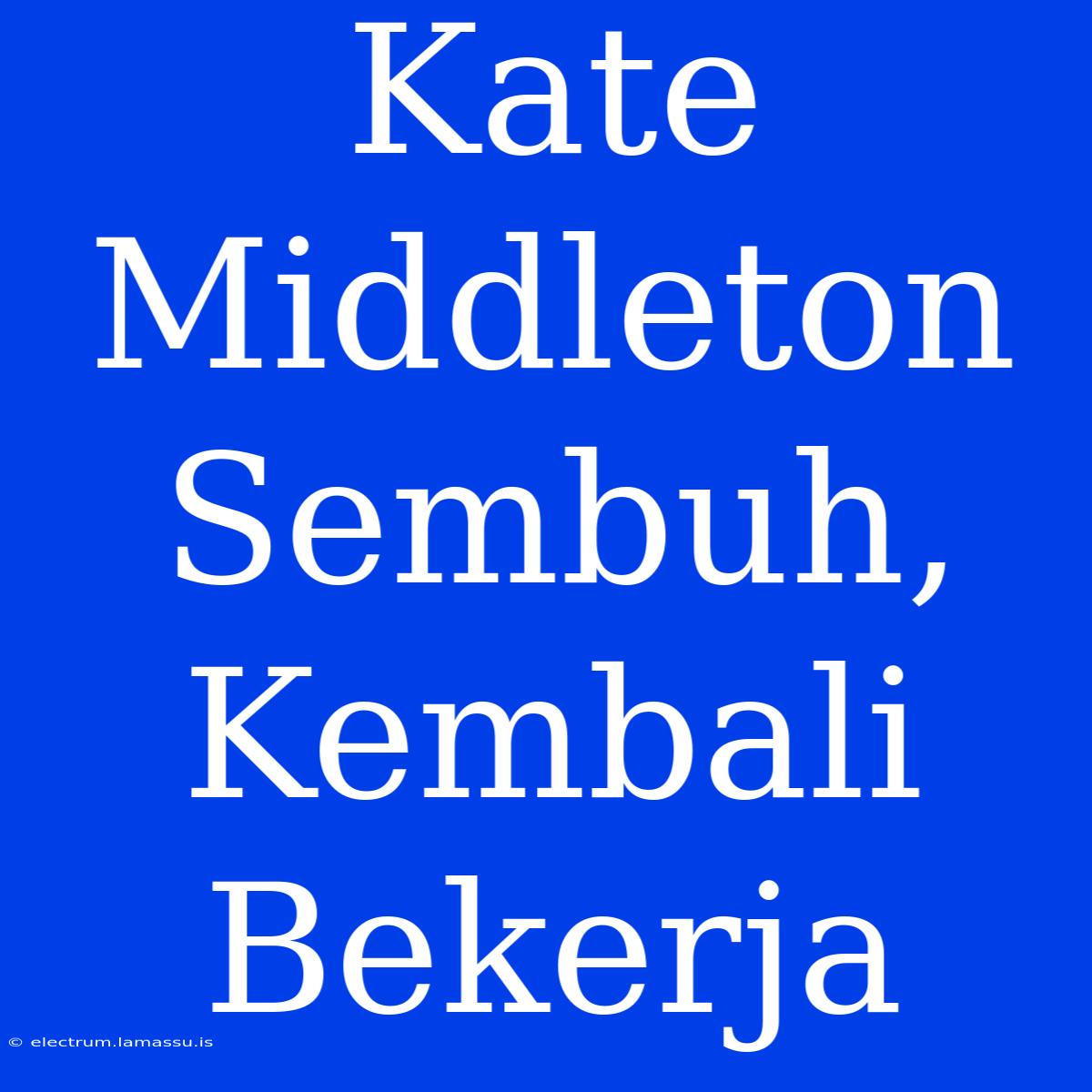 Kate Middleton Sembuh, Kembali Bekerja