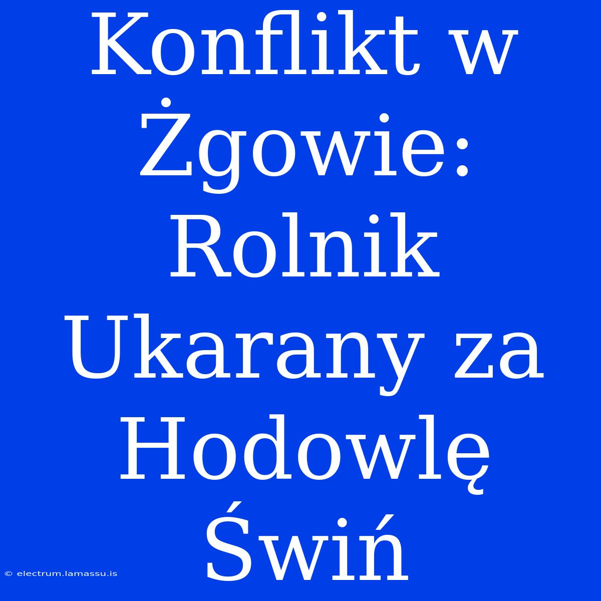 Konflikt W Żgowie: Rolnik Ukarany Za Hodowlę Świń