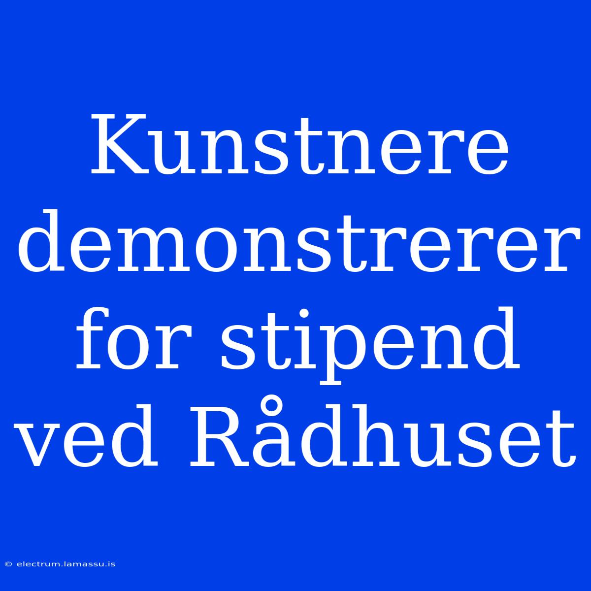 Kunstnere Demonstrerer For Stipend Ved Rådhuset