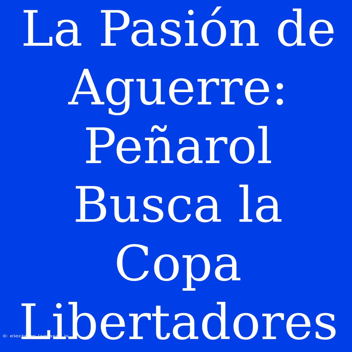 La Pasión De Aguerre: Peñarol Busca La Copa Libertadores