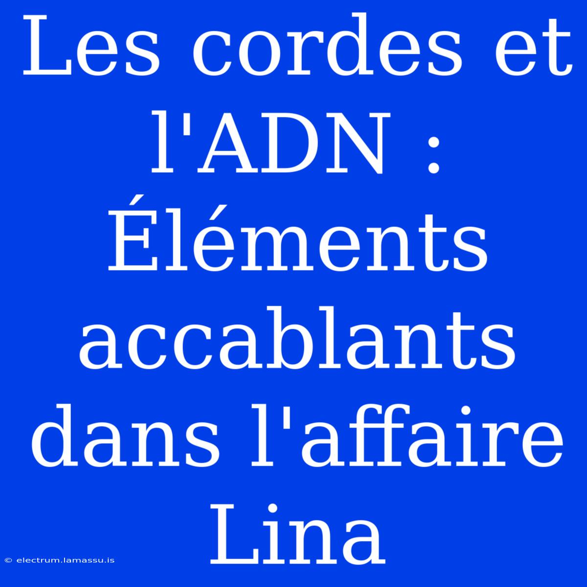 Les Cordes Et L'ADN : Éléments Accablants Dans L'affaire Lina