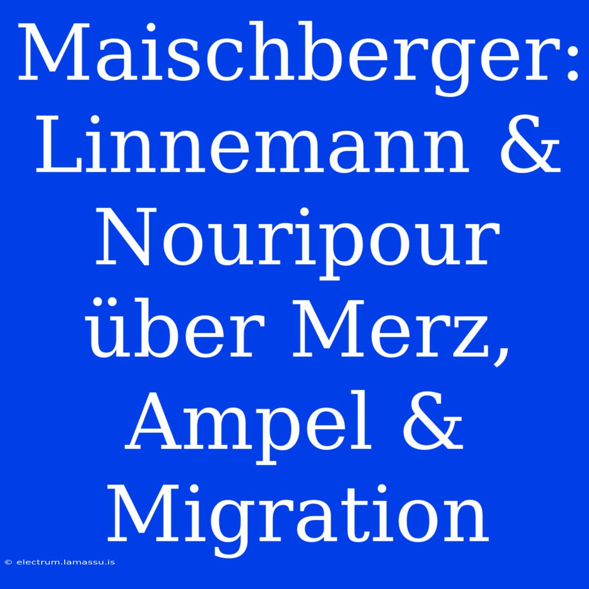 Maischberger: Linnemann & Nouripour Über Merz, Ampel & Migration