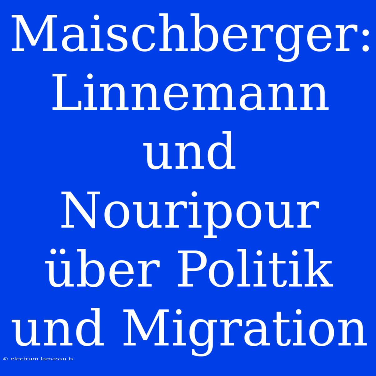 Maischberger: Linnemann Und Nouripour Über Politik Und Migration