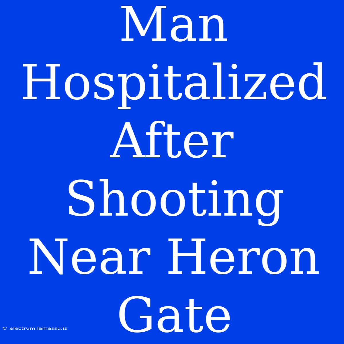 Man Hospitalized After Shooting Near Heron Gate