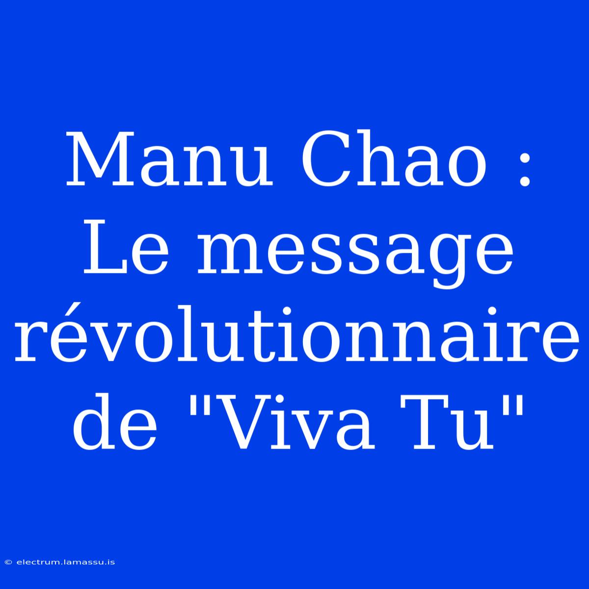 Manu Chao : Le Message Révolutionnaire De 