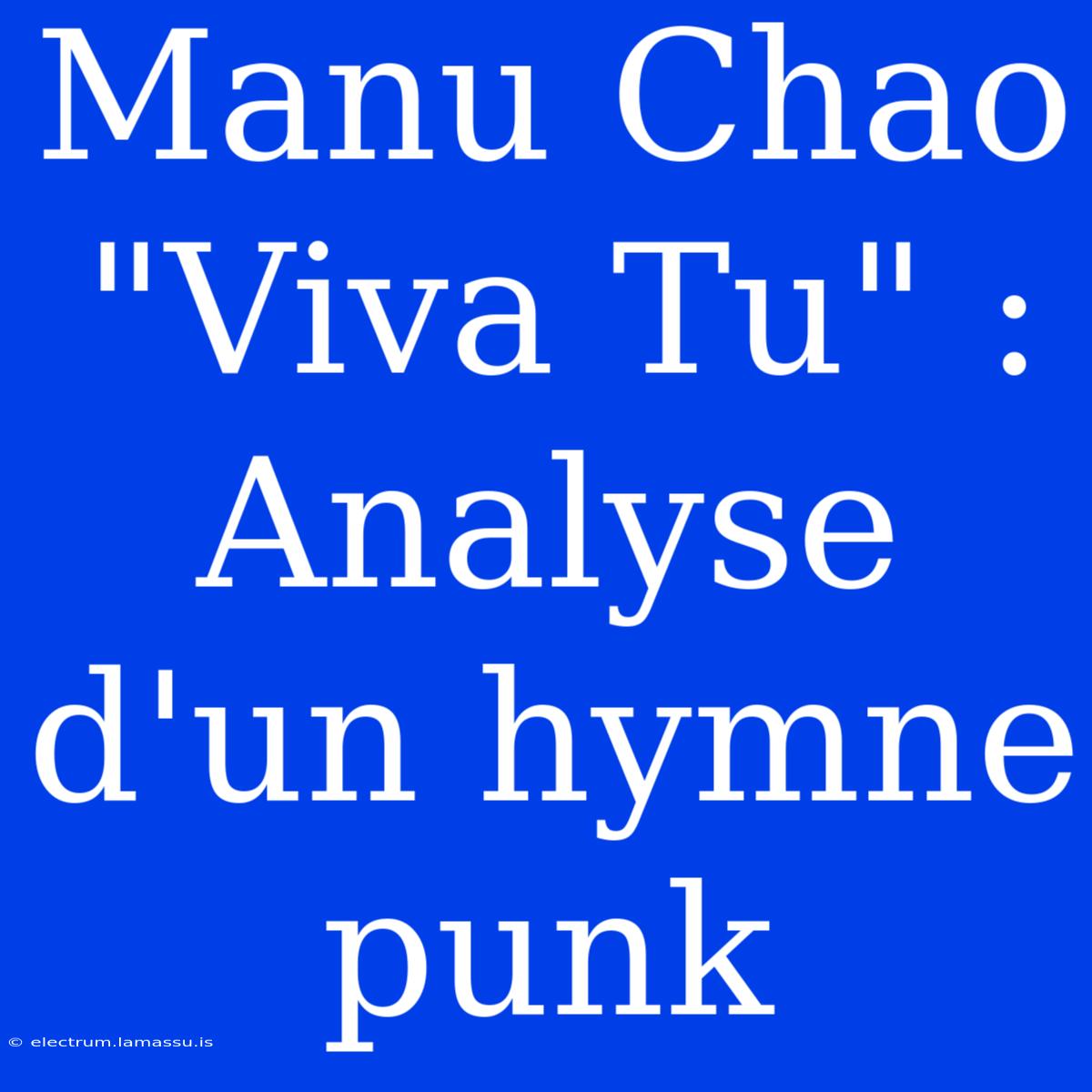 Manu Chao 