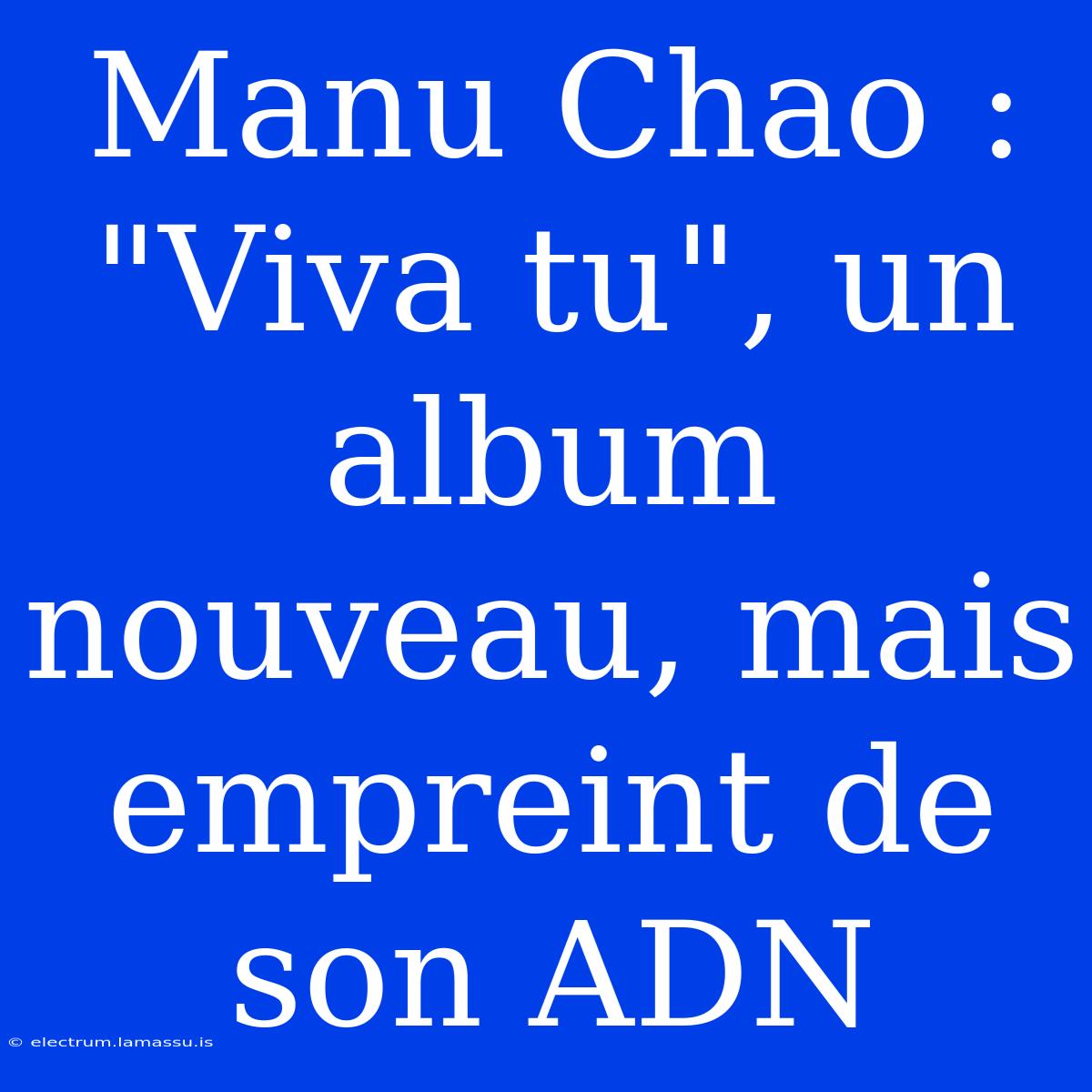 Manu Chao : 