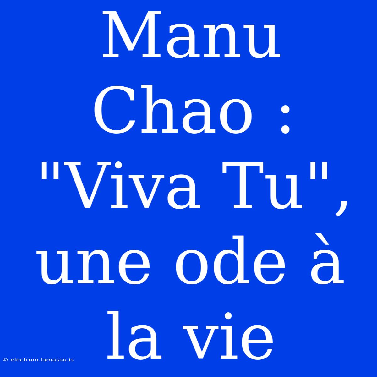 Manu Chao : 