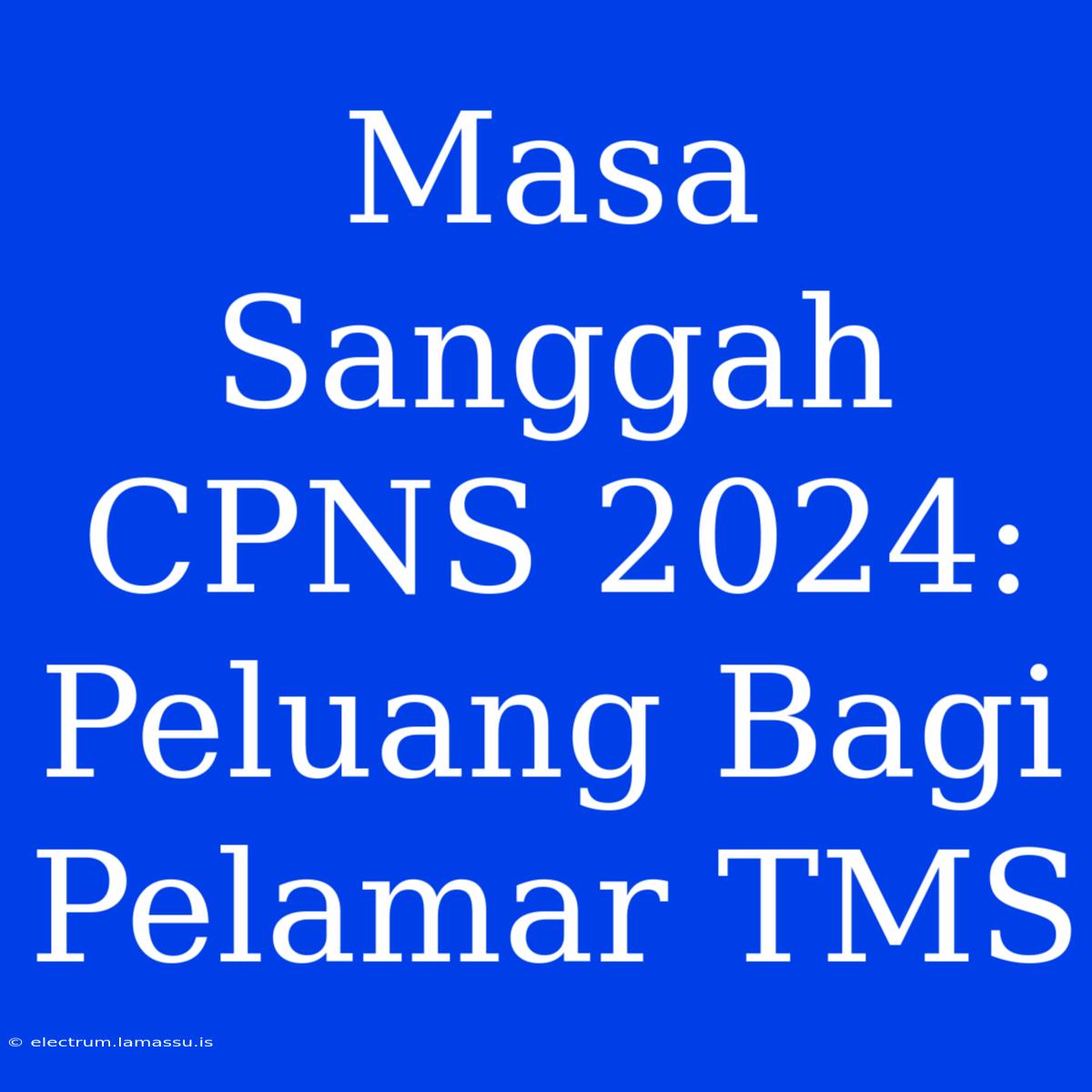 Masa Sanggah CPNS 2024: Peluang Bagi Pelamar TMS