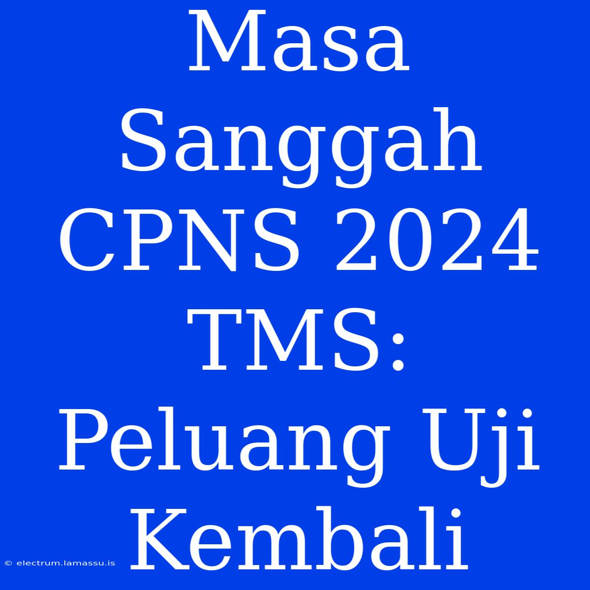 Masa Sanggah CPNS 2024 TMS: Peluang Uji Kembali