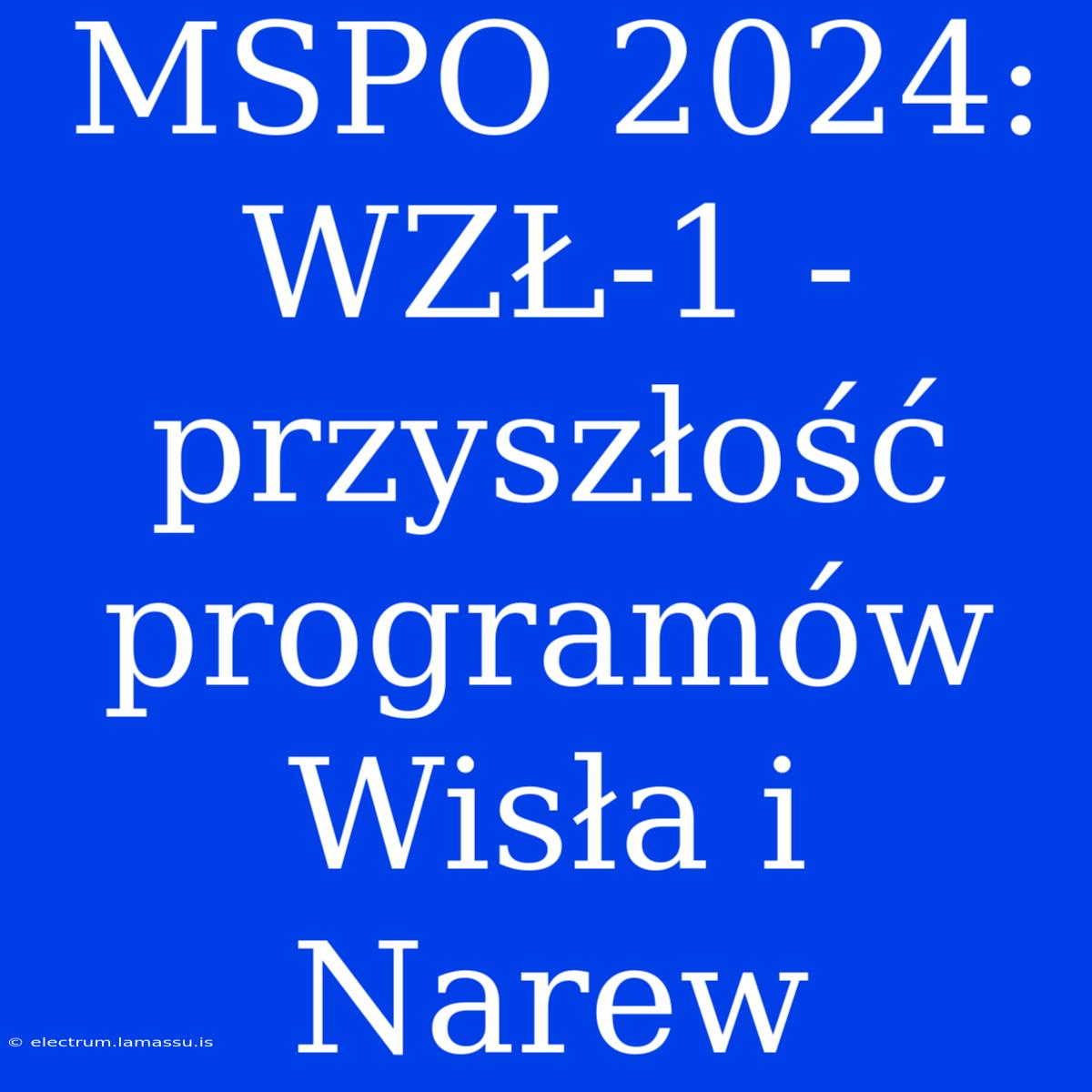 MSPO 2024: WZŁ-1 - Przyszłość Programów Wisła I Narew