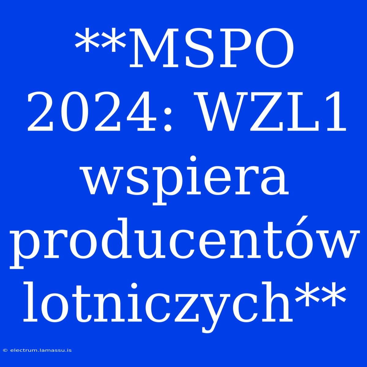 **MSPO 2024: WZL1 Wspiera Producentów Lotniczych**