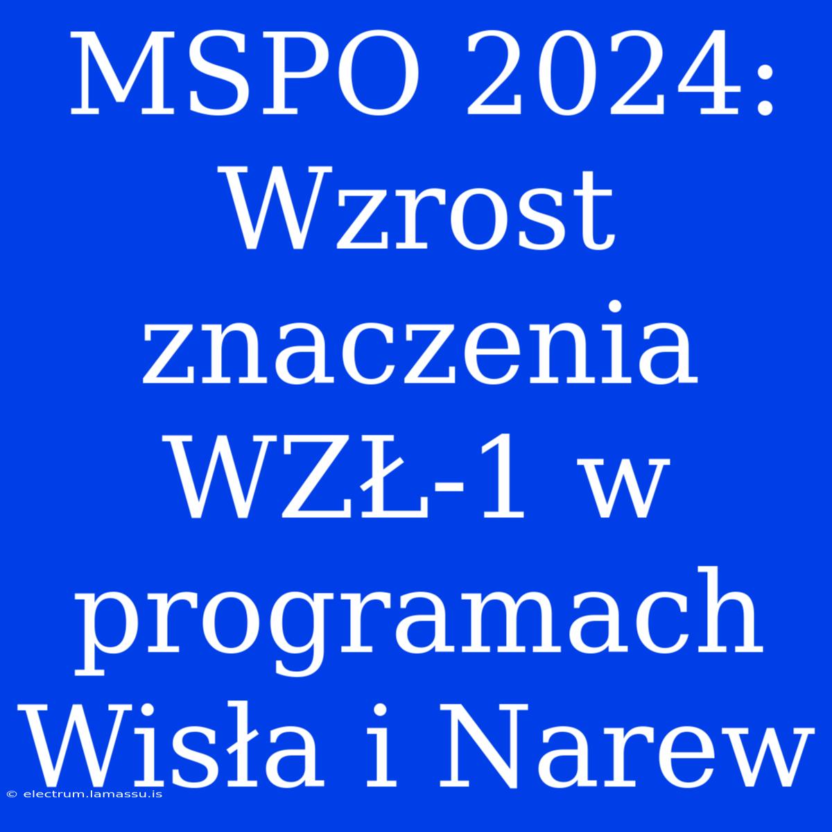 MSPO 2024: Wzrost Znaczenia WZŁ-1 W Programach Wisła I Narew