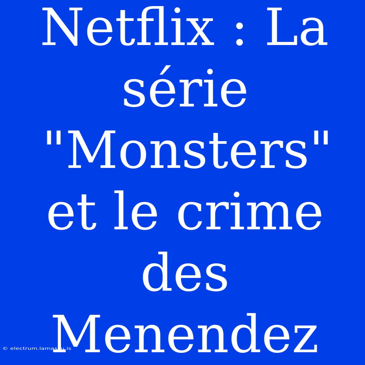 Netflix : La Série 