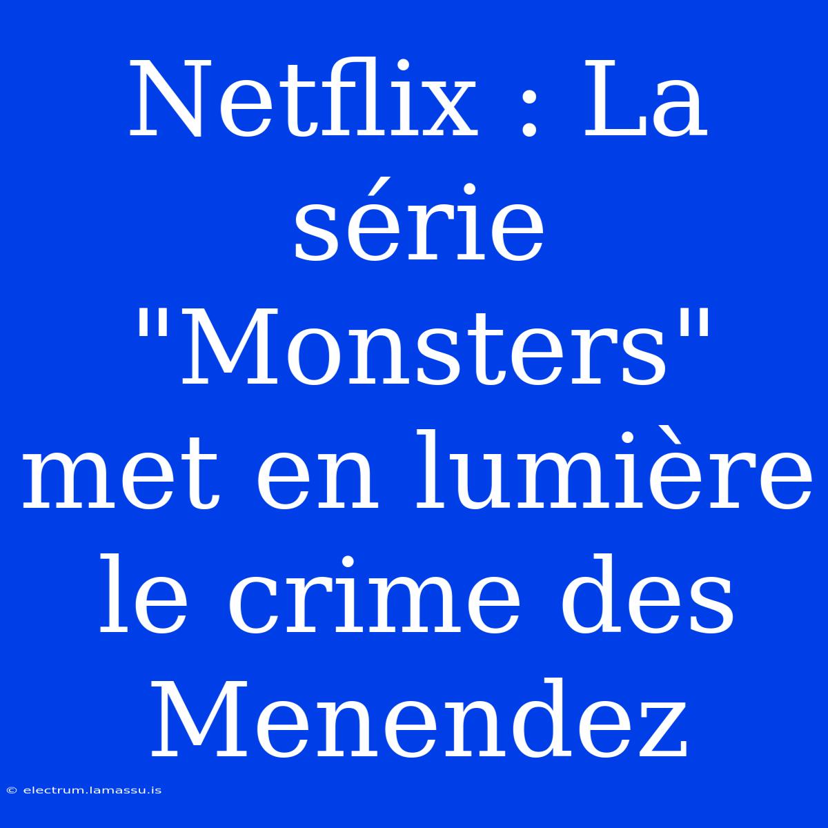 Netflix : La Série 