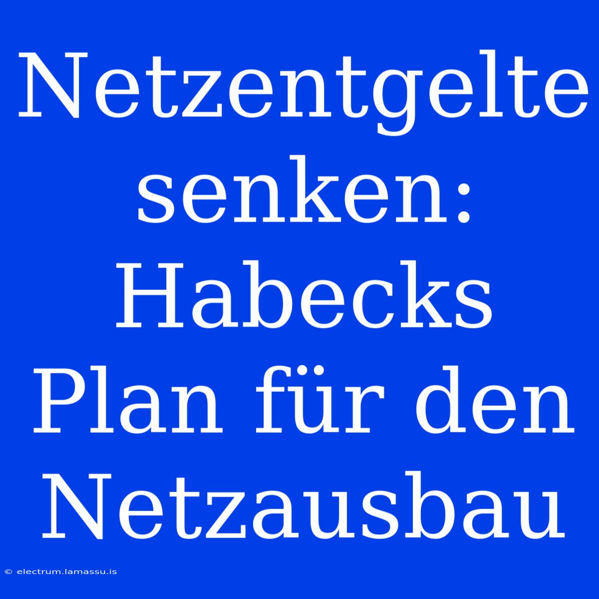 Netzentgelte Senken: Habecks Plan Für Den Netzausbau