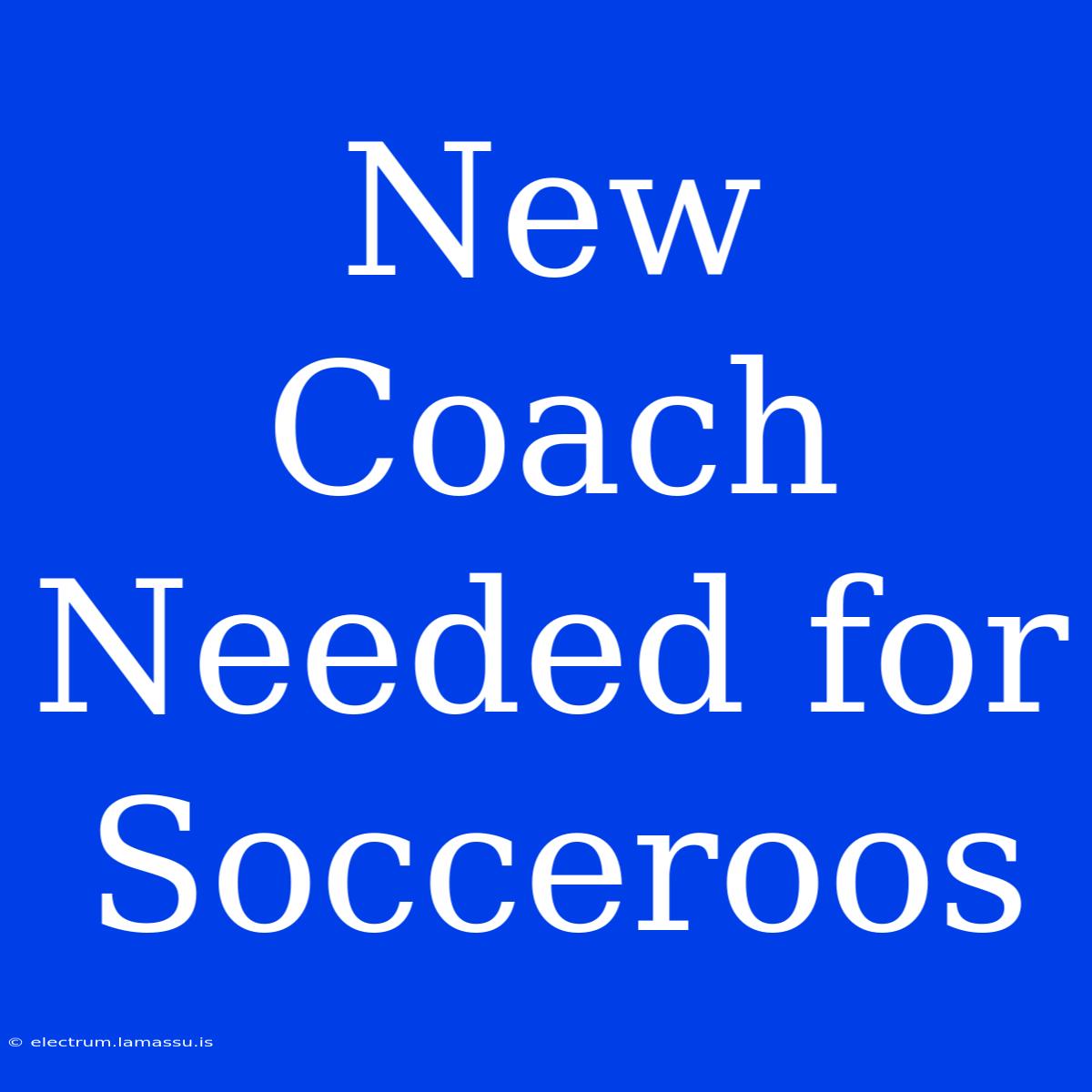 New Coach Needed For Socceroos