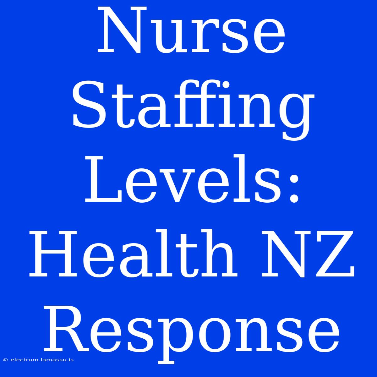 Nurse Staffing Levels: Health NZ Response 