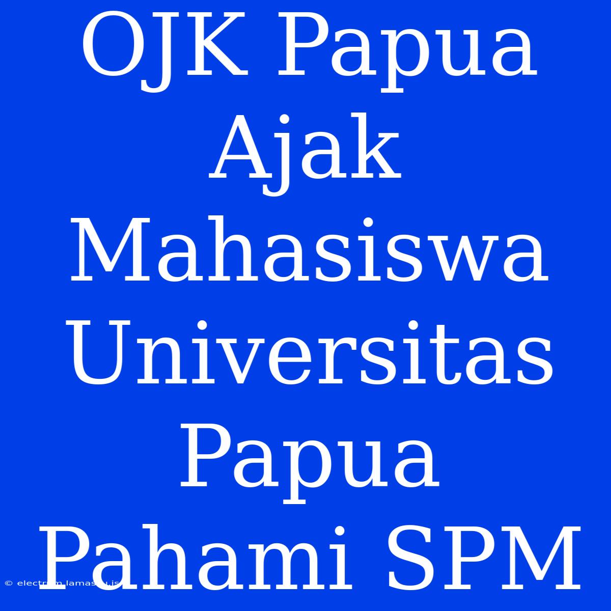 OJK Papua Ajak Mahasiswa Universitas Papua Pahami SPM