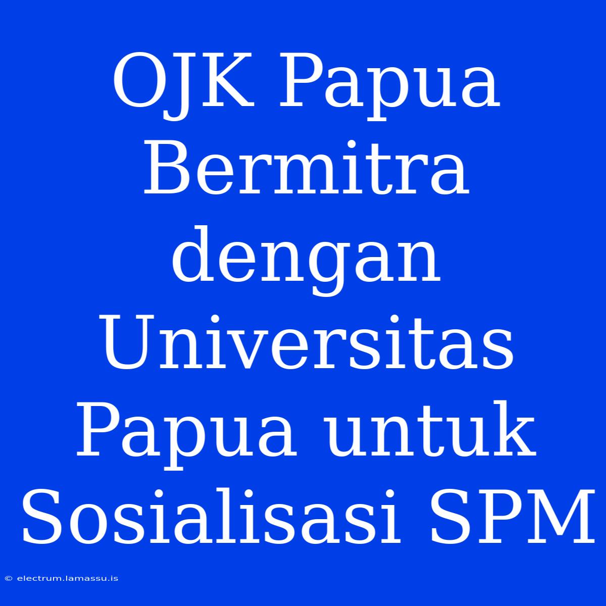 OJK Papua Bermitra Dengan Universitas Papua Untuk Sosialisasi SPM