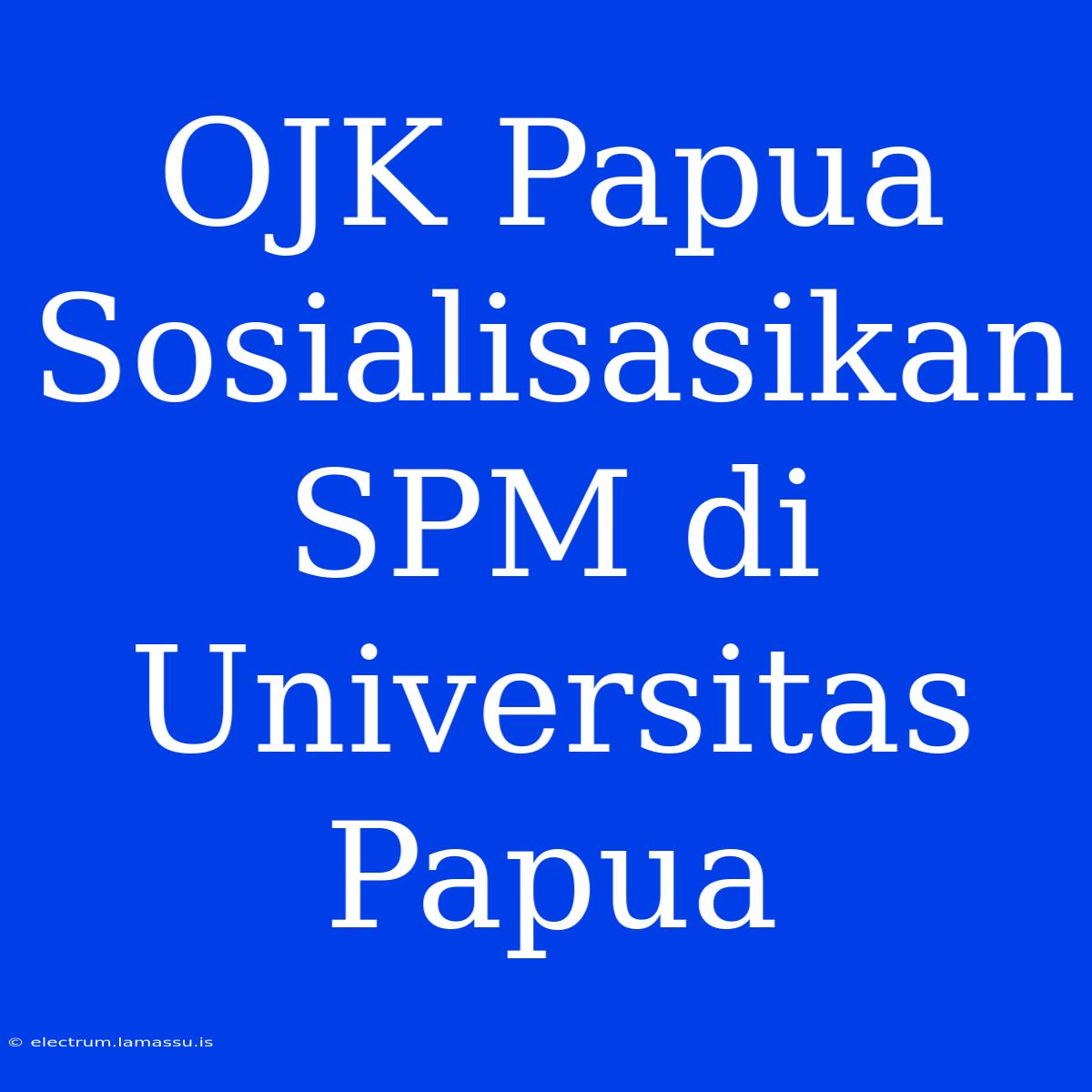 OJK Papua Sosialisasikan SPM Di Universitas Papua