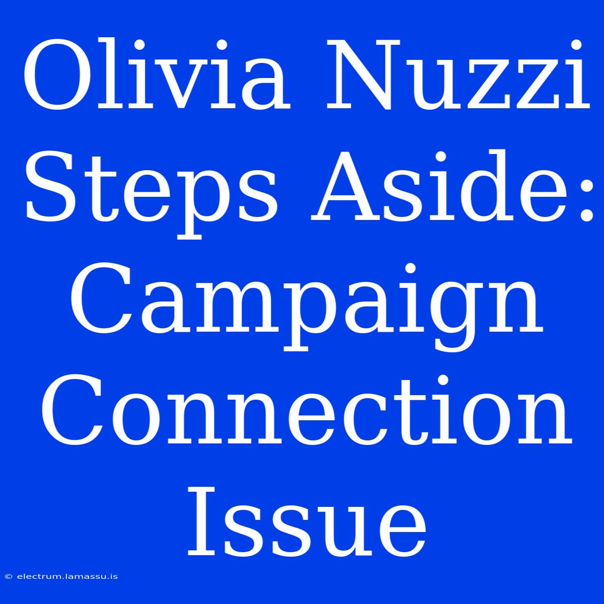 Olivia Nuzzi Steps Aside: Campaign Connection Issue